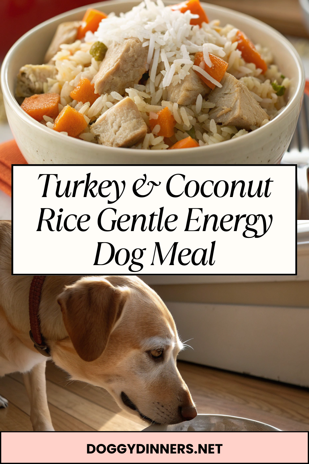 Turkey & Coconut Rice Gentle Energy Dog Meal