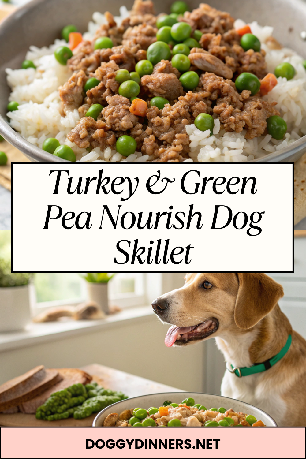 Turkey & Green Pea Nourish Dog Skillet