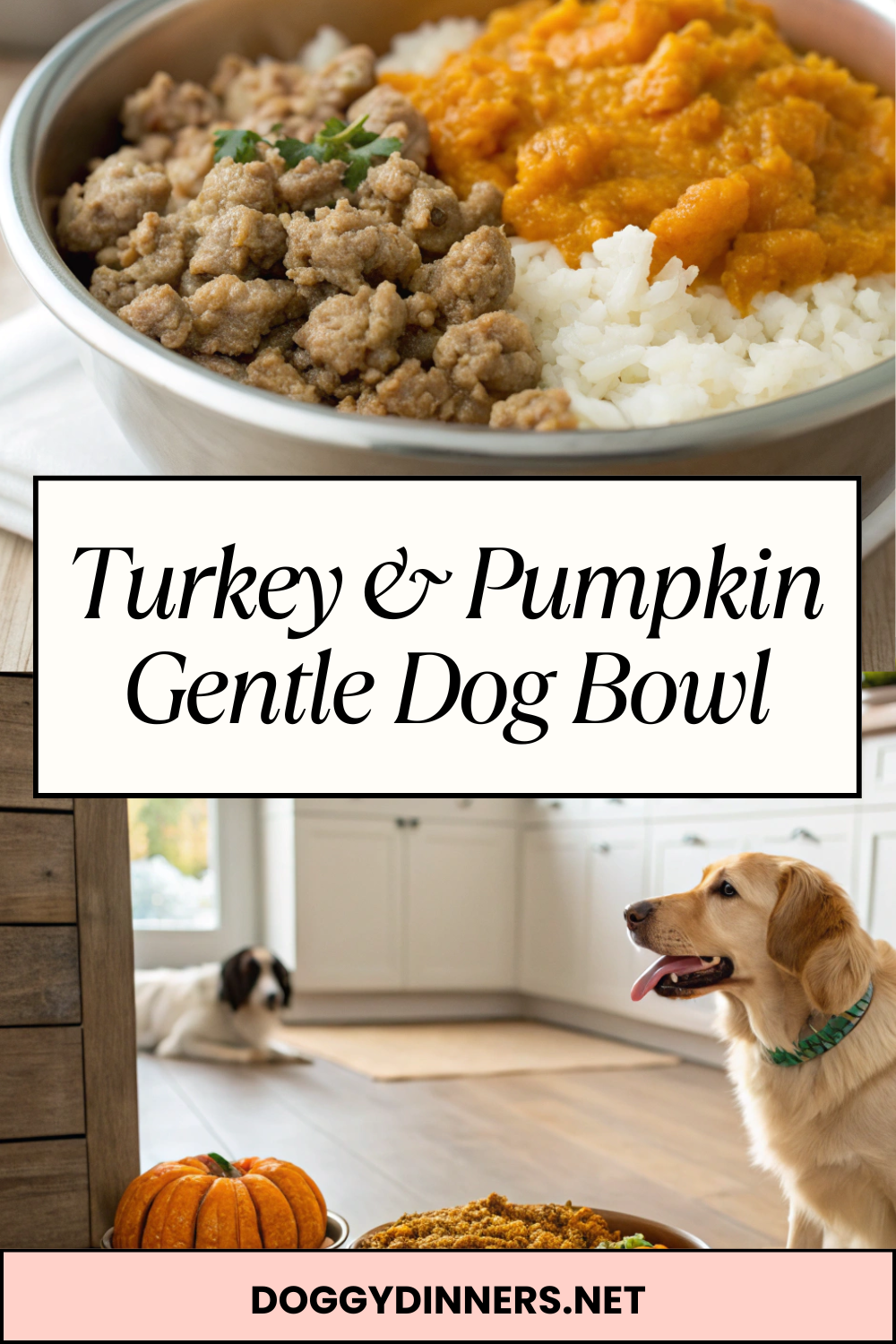 Turkey & Pumpkin Gentle Dog Bowl – Mild, Low-Ingredient Homemade Meal for Occasional Feeding