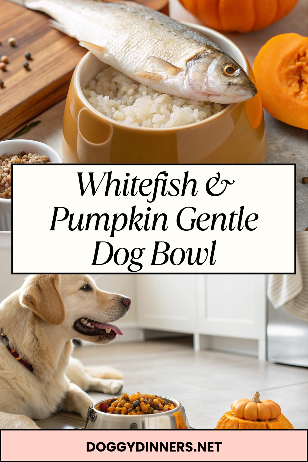 Whitefish & Pumpkin Gentle Dog Bowl – Mild, Easy-to-Digest Homemade Meal for Occasional Feeding
