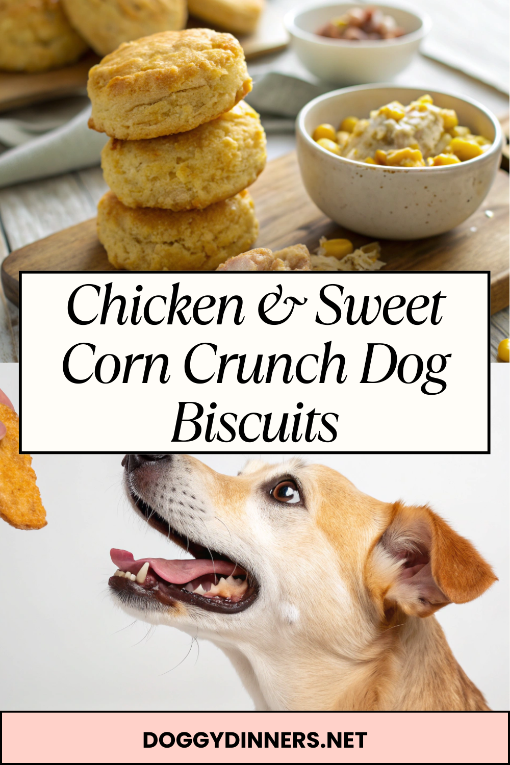 Chicken & Sweet Corn Crunch Dog Biscuits