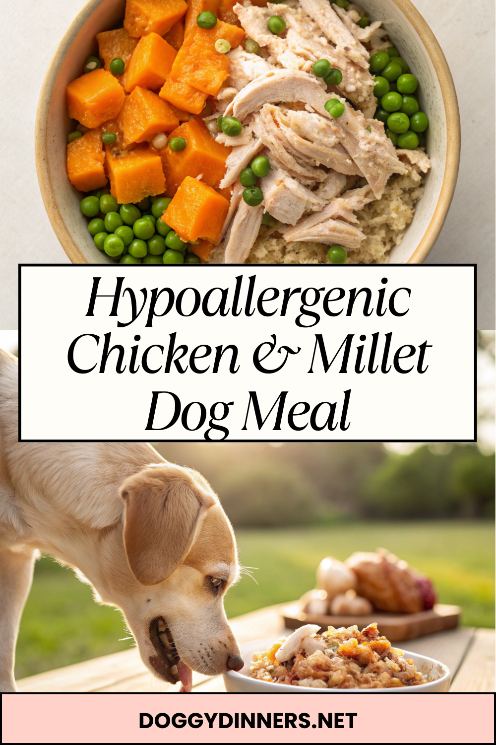 Hypoallergenic Chicken & Millet Dog Meal