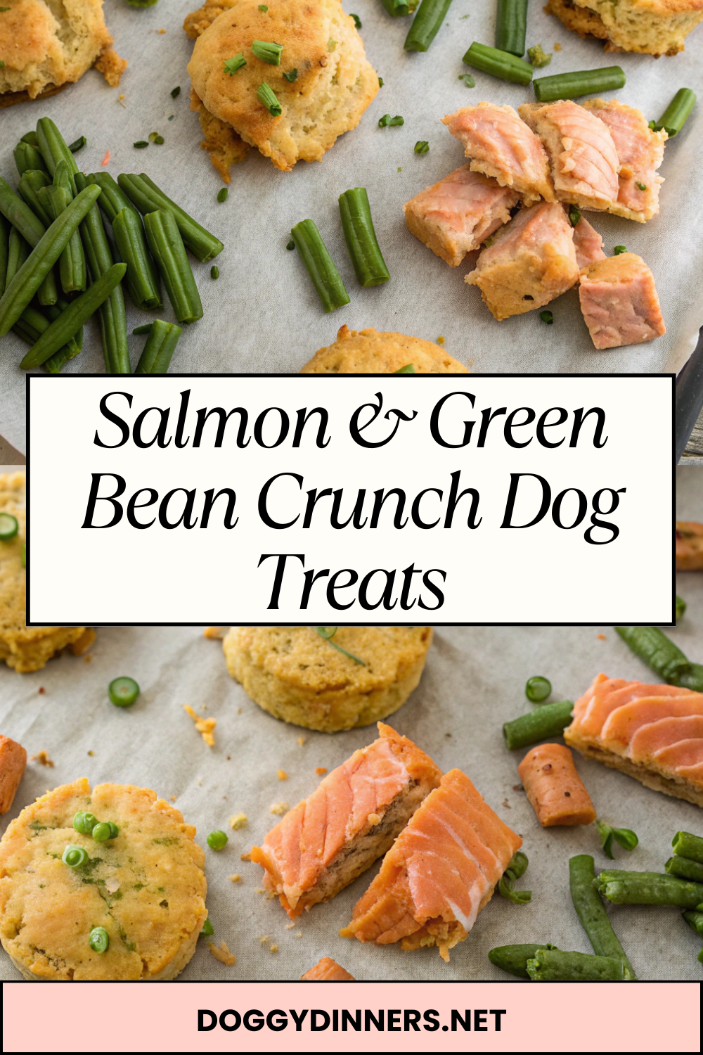 Salmon & Green Bean Crunch Dog Treats